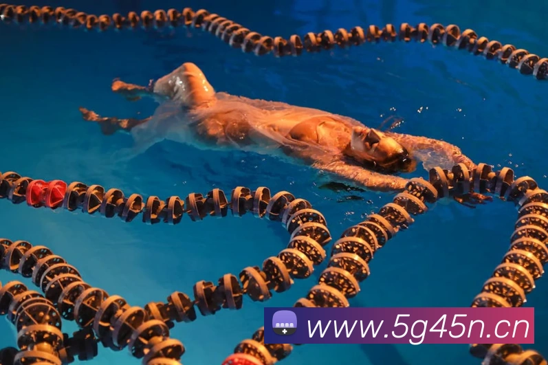 ayx官网登录APP 体育赛事宣传图